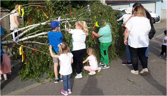 2024-04-30_Maibaum_5.JPG
